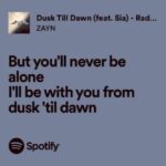 Menemukan Cinta Dimasa Sulit Dusk Till Dawn -Zayn Malik