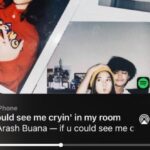 Arti Lagu If U Could See Me Crying In My Room -Arash Buana