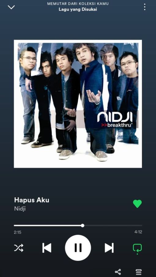 Perasaan Patah Hati , Hapus Aku - Nidji