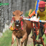 Keraban Sape Melodi Tradisional