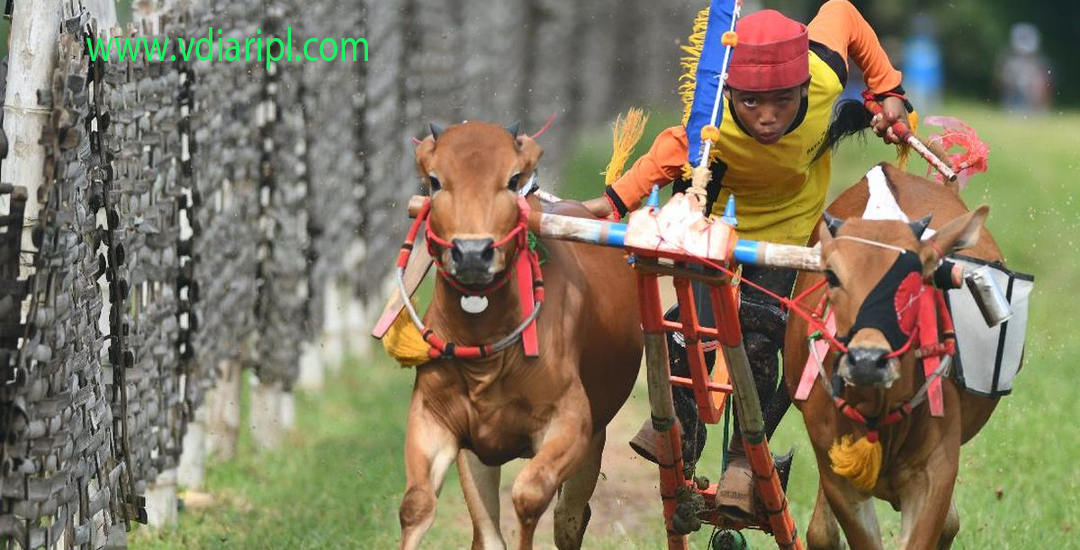 Keraban Sape Melodi Tradisional